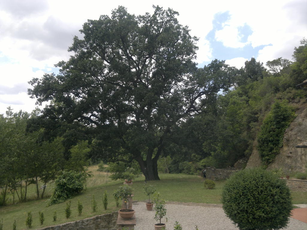 Villa Loghino Volterra Luaran gambar